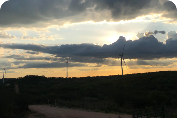 Minas Gerais Mato Verde